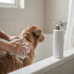 Manos aplicando champú sobre el pelo mojado de un perro mediano en la bañera